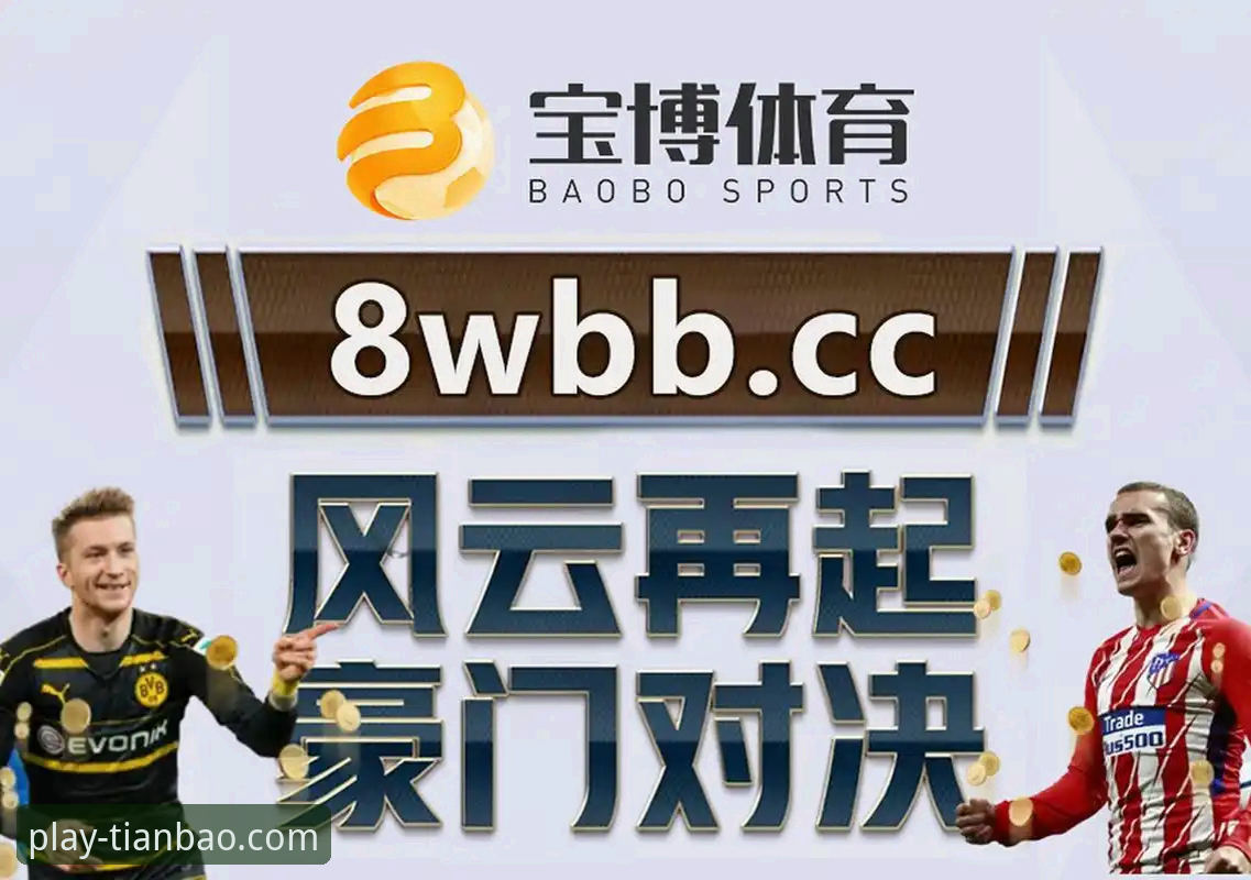 天宝博体育平台使用技巧详解：从入门到精通的操作指南