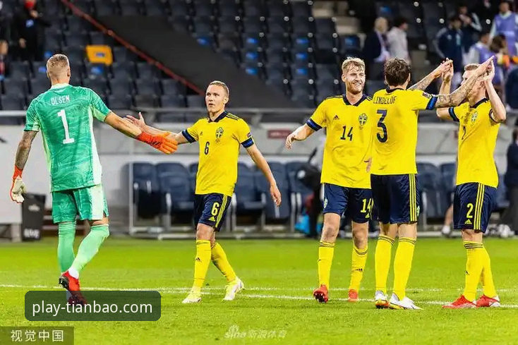 资深用户分享瑞典世预赛观赛体验：贝里瓦尔带伤征战背后的故事